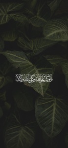 shop test1